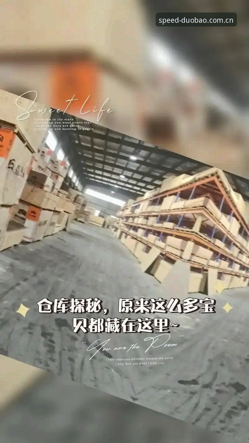 资深用户分享多宝赛事实时数据2026最新版本使用心得：从数据更新到实战体验的全流程解析